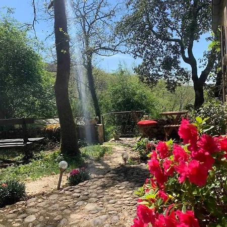 Ferienhaus Petit Coin De Paradis Dans La Foret Fontet