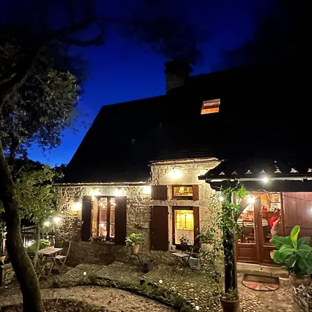 Petit Coin De Paradis Dans La Foret * Fontet
