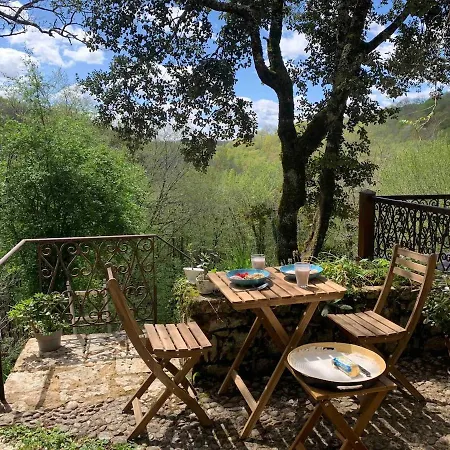 Petit Coin De Paradis Dans La Foret Ferienhaus *