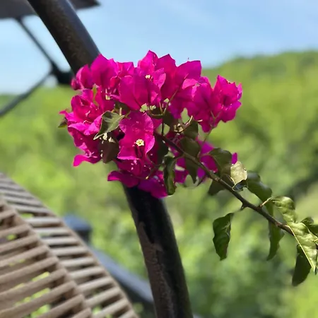 Petit Coin De Paradis Dans La Foret Ferienhaus Fontet