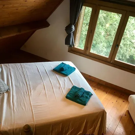 Petit Coin De Paradis Dans La Foret *